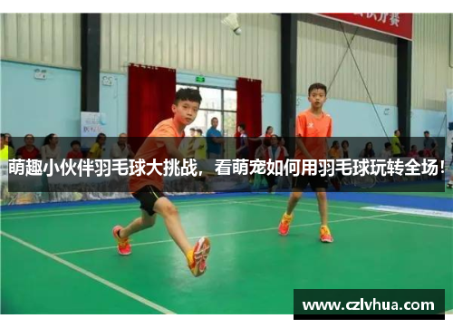 萌趣小伙伴羽毛球大挑战，看萌宠如何用羽毛球玩转全场！
