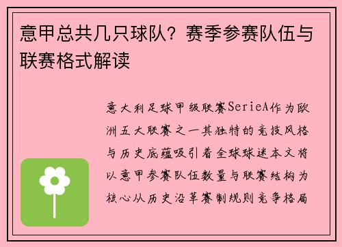 意甲总共几只球队？赛季参赛队伍与联赛格式解读