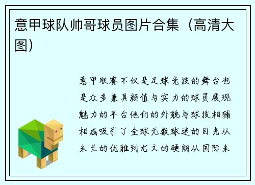 意甲球队帅哥球员图片合集（高清大图）
